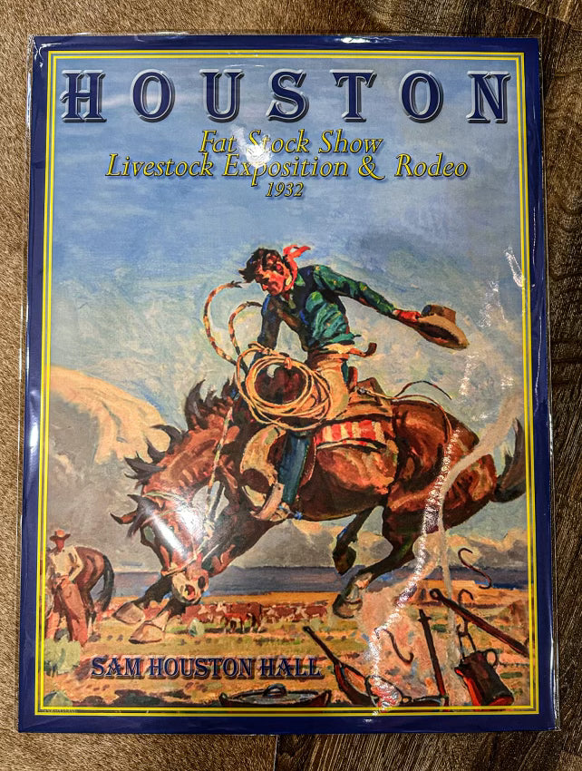 The Houston Poster