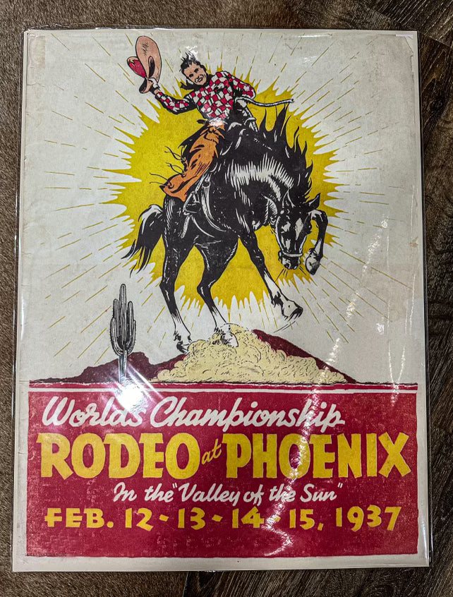 The Phoenix Poster