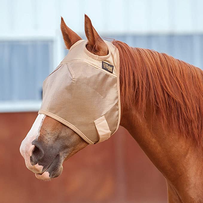 Cashel Econo Fly Mask